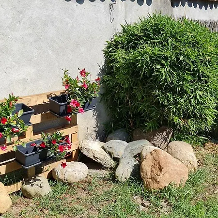 La Tana Dei Corgi Moncrivello